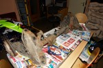 DSC02716.JPG