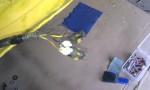 IMAG0137.jpg