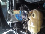 IMG1011.JPG