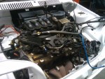 IMG_20110319_195324.jpg