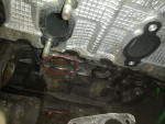 IMG_20170227_162013623.jpg