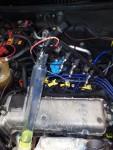 IMG_20170302_161027.jpg