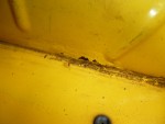 postauto2.jpg